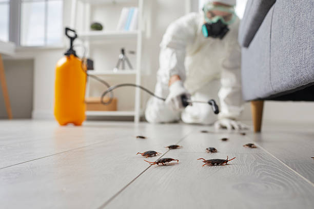 Commercial Kitchen Cockroach Control in Alamance